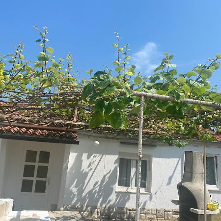 Apartman Nela Apartment Poreč Exterior foto