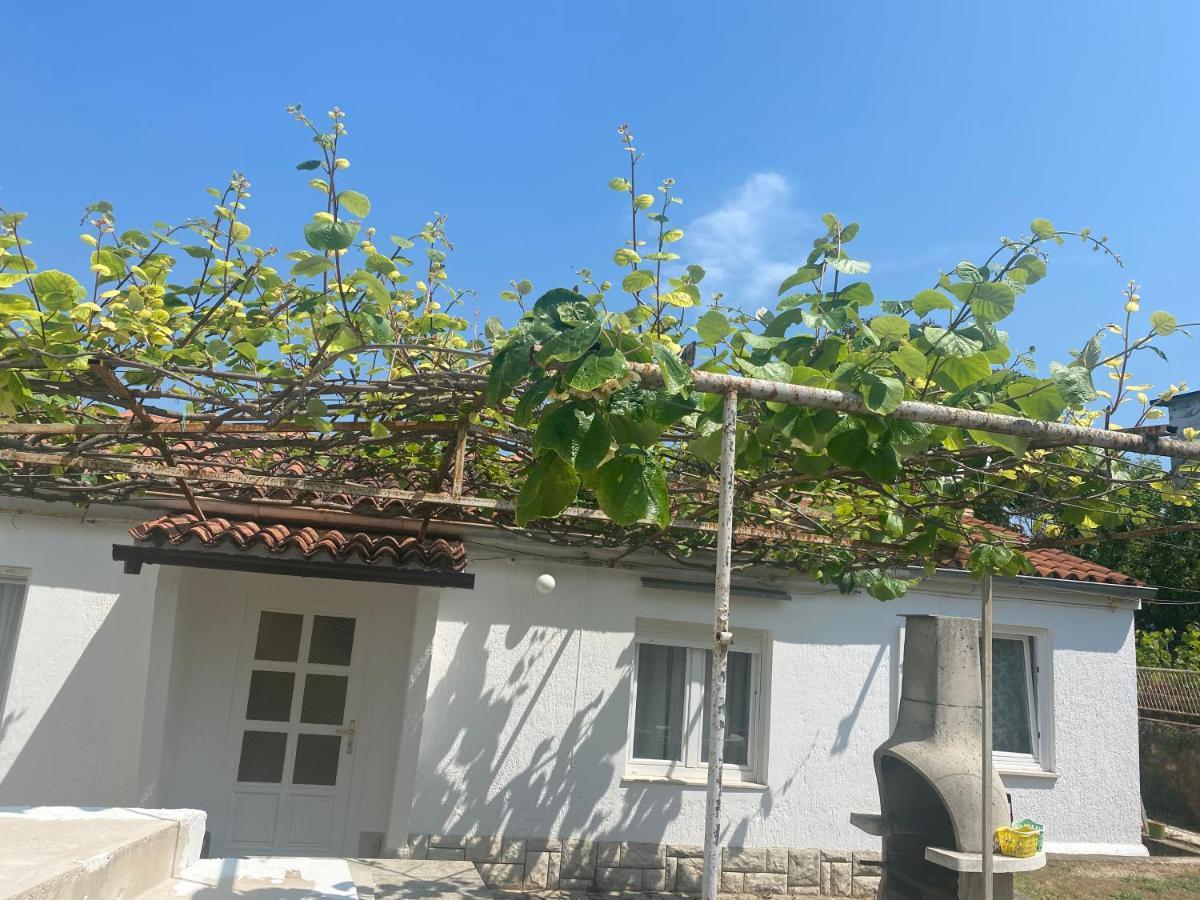 Apartman Nela Apartment Poreč Exterior foto